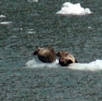 Screen Shot 2016-07-09 at 8.58.10 PM.jpg